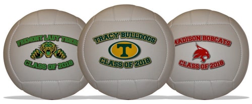 volleyball featuring school team name along with mascot and year